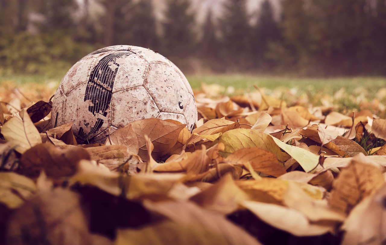 soccer, ball, nature-4586282.jpg